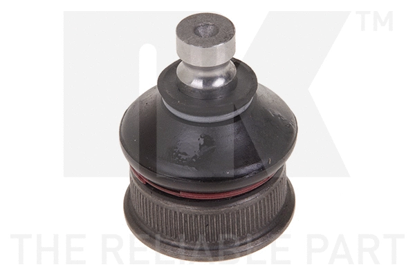 Ball Joint (5041909)