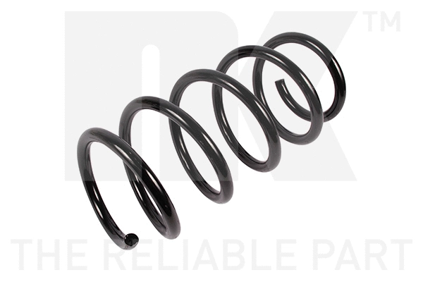 Suspension Spring (533981)