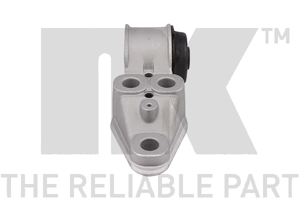 Bushing, axle beam (51047101)