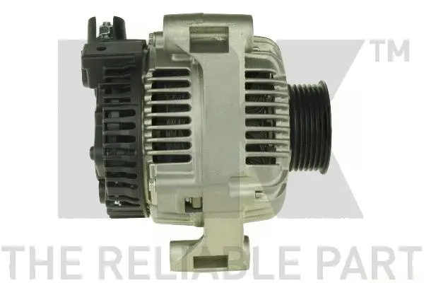 Alternator (4841401)
