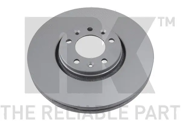 Brake Disc (313734)
