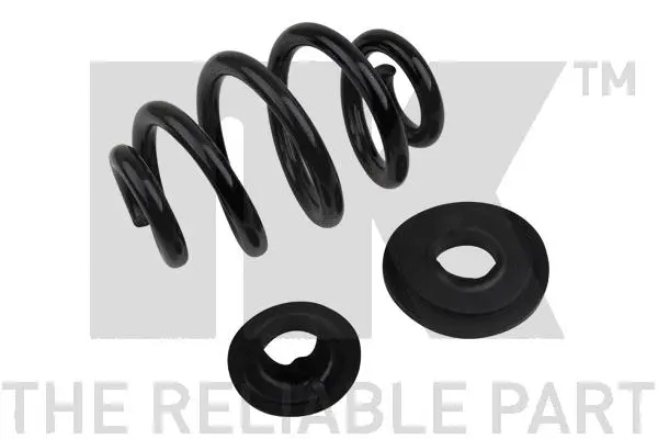 Suspension Spring (544755)