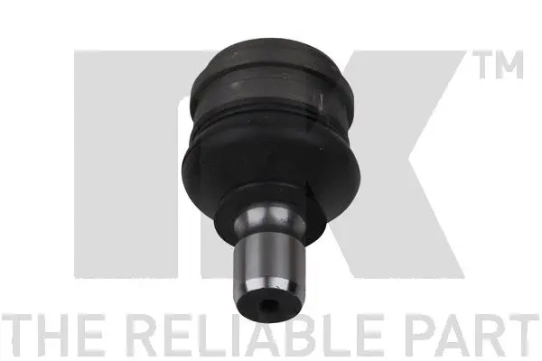 Ball Joint (5042531)