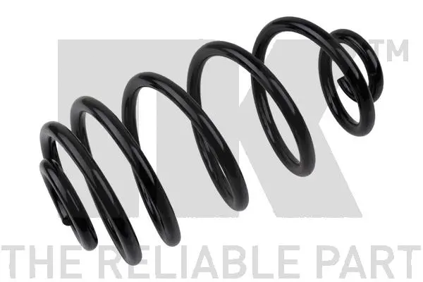 Suspension Spring (543682)