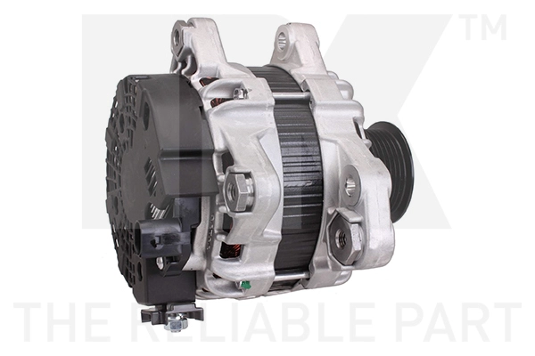Alternator (4848006)