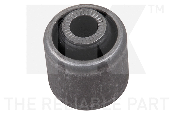 Mounting, control/trailing arm (5101549)