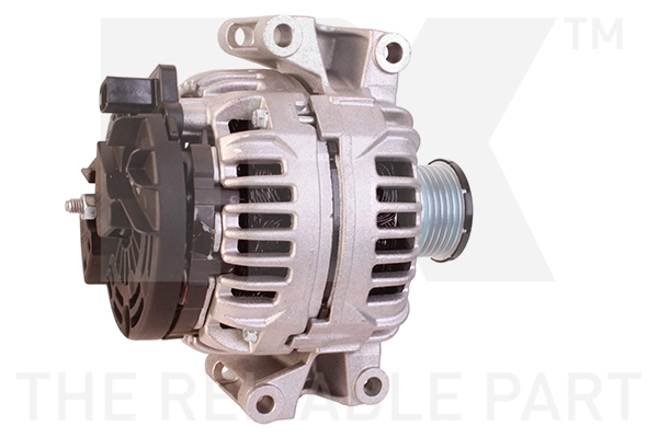 Alternator (4833003)