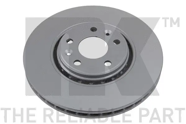 Brake Disc (313969)
