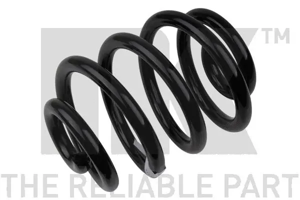 Suspension Spring (542540)
