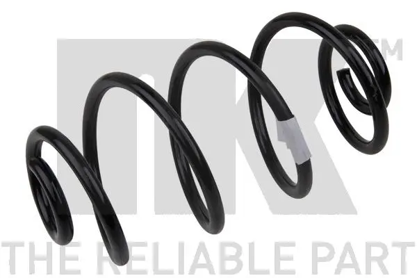 Suspension Spring (543660)