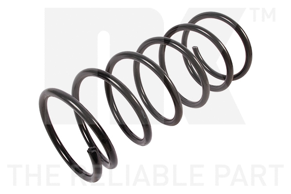 Suspension Spring (5319107)