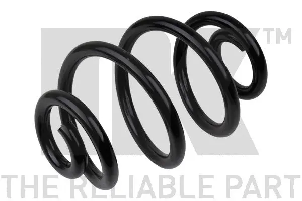 Suspension Spring (541519)