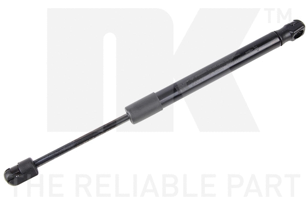 Gas Spring, boot/cargo area (11022011)
