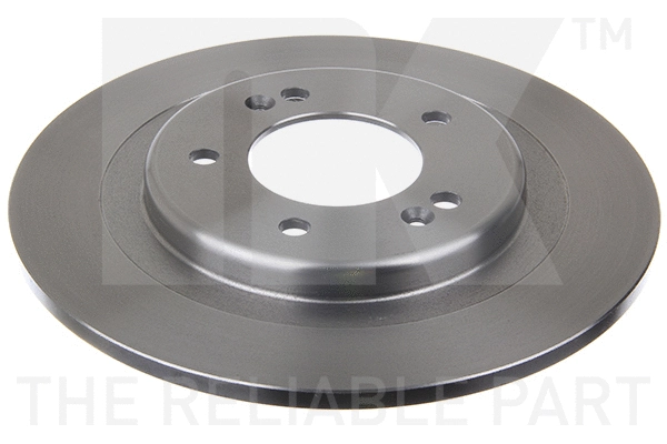 Brake Disc (203541)