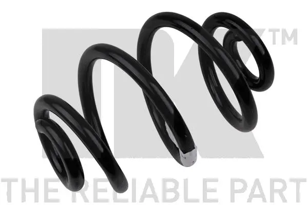 Suspension Spring (541520)