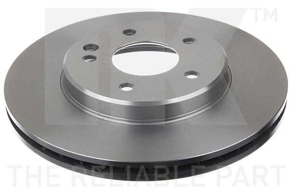 Brake Disc (203317)
