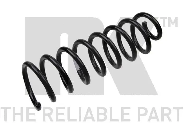 Suspension Spring (543929)
