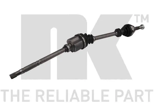 Drive Shaft (509905)