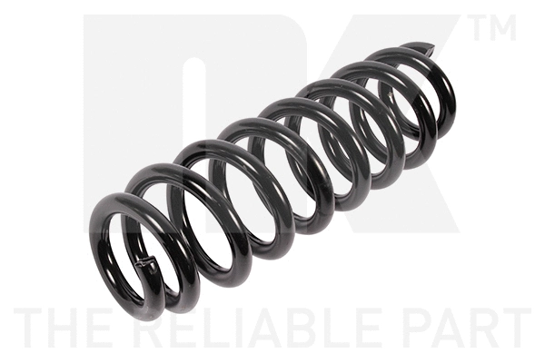 Suspension Spring (541561)