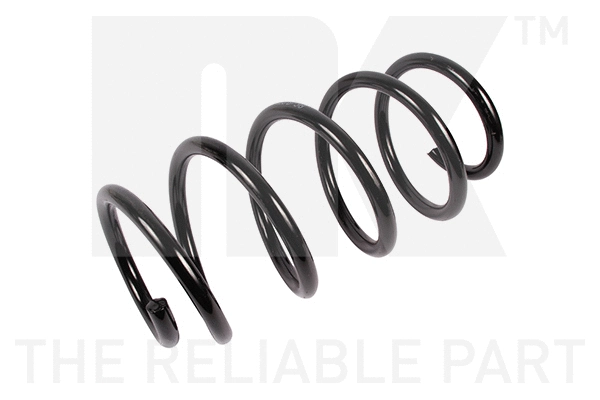 Suspension Spring (533982)