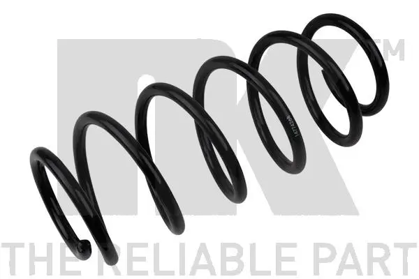 Suspension Spring (533665)