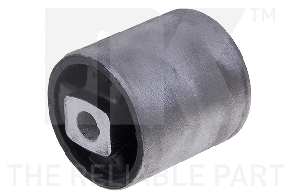 Mounting, control/trailing arm (5101517)