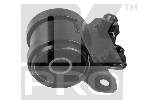 Mounting, control/trailing arm (5102536PRO)