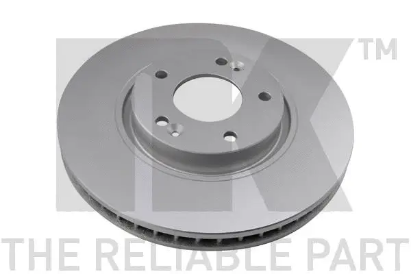 Brake Disc (313433)