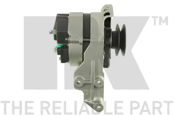 Alternator (4838841)