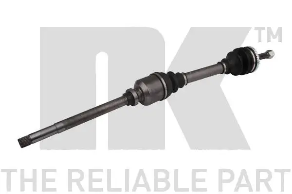 Drive Shaft (503761)