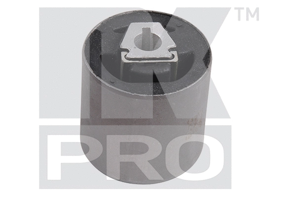 Mounting, control/trailing arm (5101533PRO)