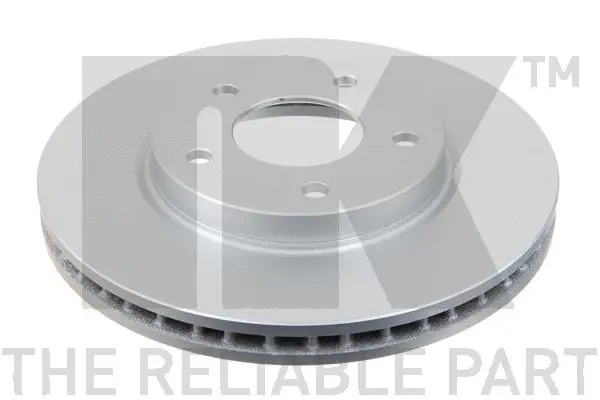 Brake Disc (313057)