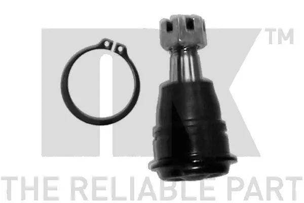 Ball Joint (5042223)