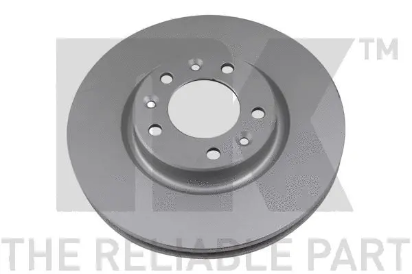 Brake Disc (311956)