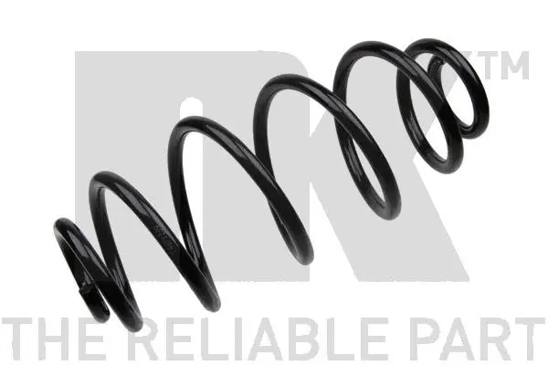 Suspension Spring (543921)