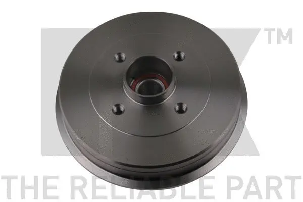 Brake Drum (253930)