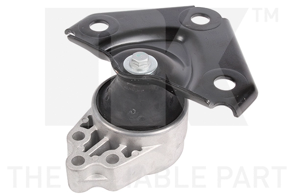 Mounting, engine