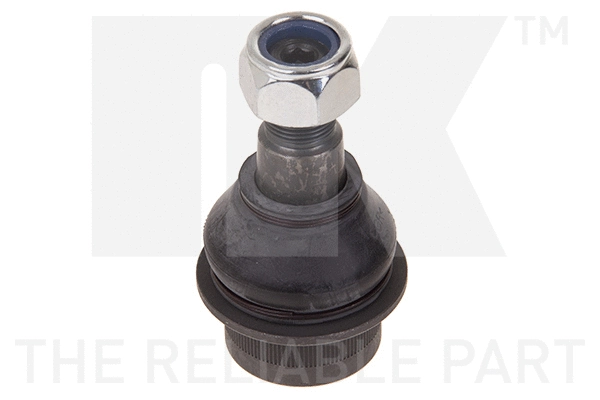 Ball Joint (5043311)