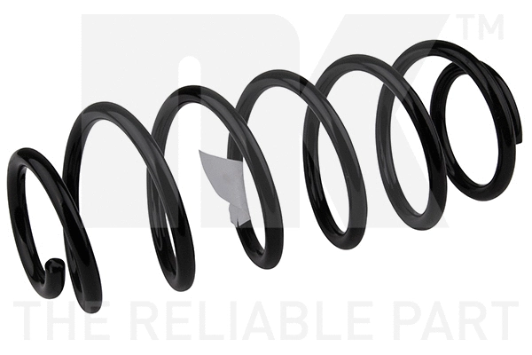 Suspension Spring (544560)