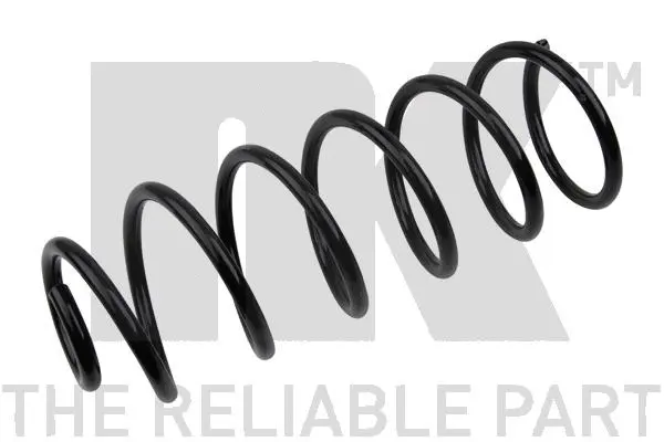 Suspension Spring (543640)
