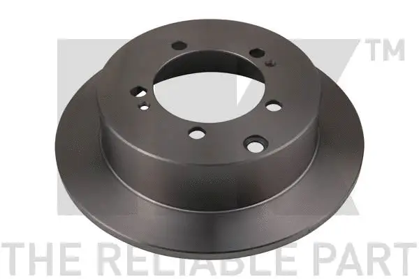 Brake Disc (203049)