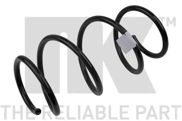 Suspension Spring (531543)