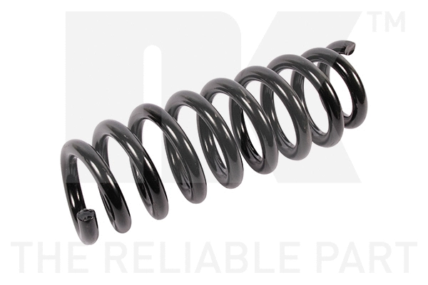 Suspension Spring (541562)