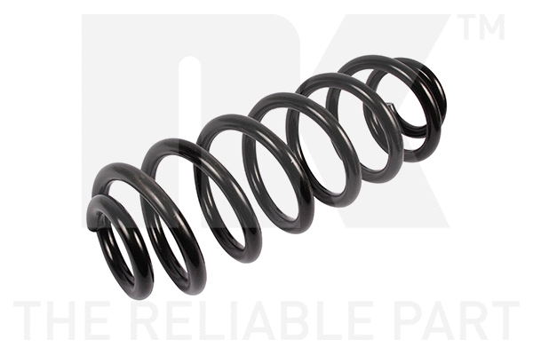Suspension Spring (5447199)