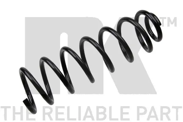 Suspension Spring (543926)