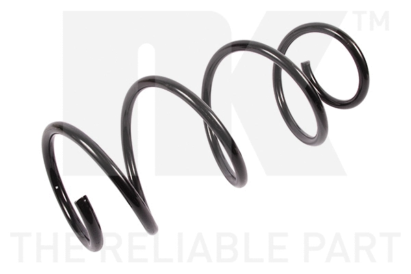 Suspension Spring (533984)