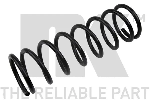 Suspension Spring (542537)
