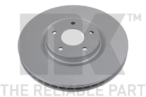 Brake Disc (313968)