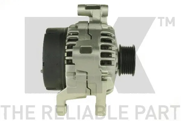 Alternator (4841100)