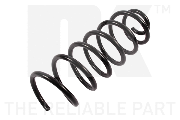 Suspension Spring (541940)